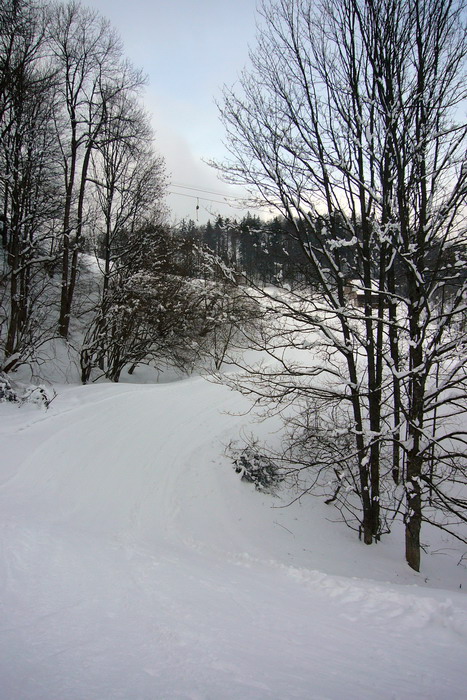 21. Februar 2009
