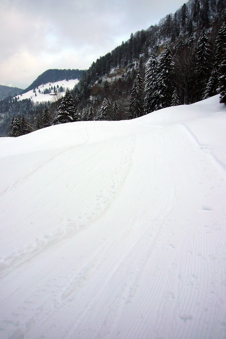 21. Februar 2009
