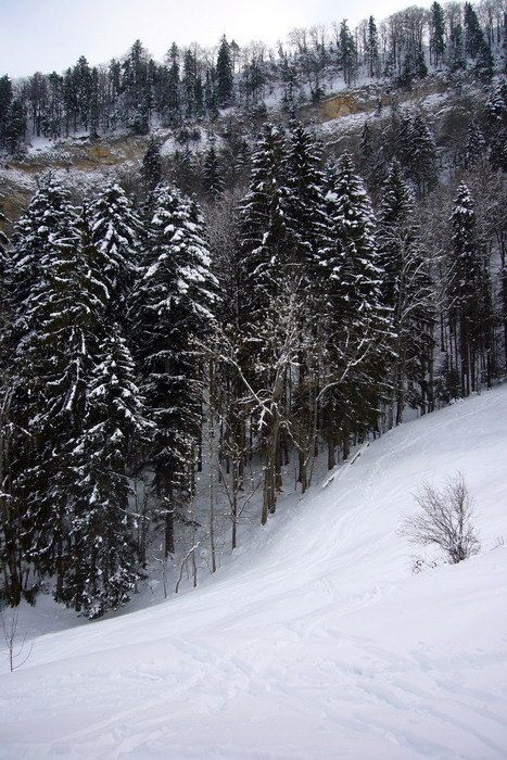 21. Februar 2009
