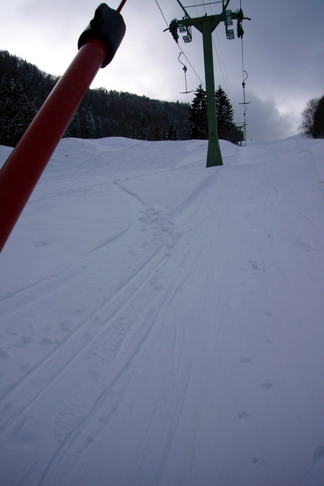 21. Februar 2009
