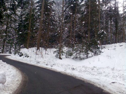21. Februar 2009
