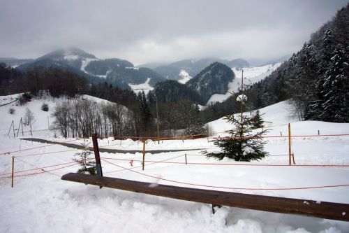 21. Februar 2009
