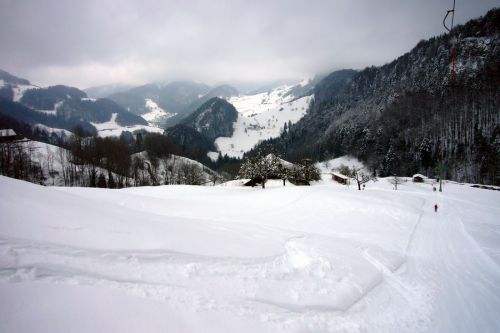 21. Februar 2009
