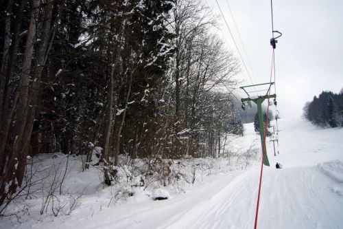 21. Februar 2009
