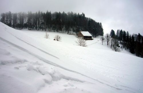 21. Februar 2009
