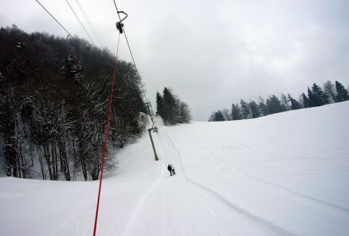 21. Februar 2009
