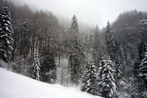 Hier führt eine Materialseilbahn zum Gipfel hoch
