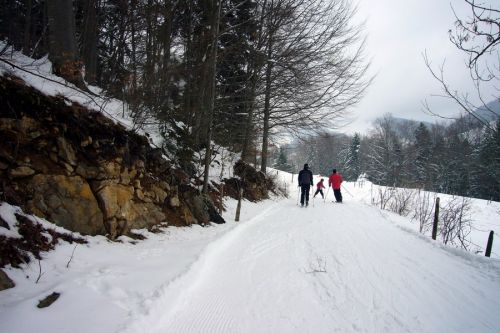 Ganz links führt eine spannende Variante auf Waldwegen, über Wiesen und Couloirs...
