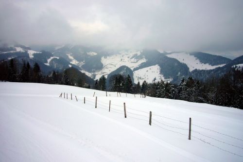 21. Februar 2009
