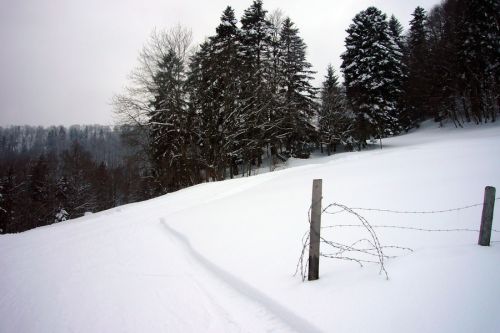 21. Februar 2009
