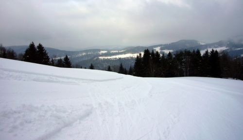 21. Februar 2009
