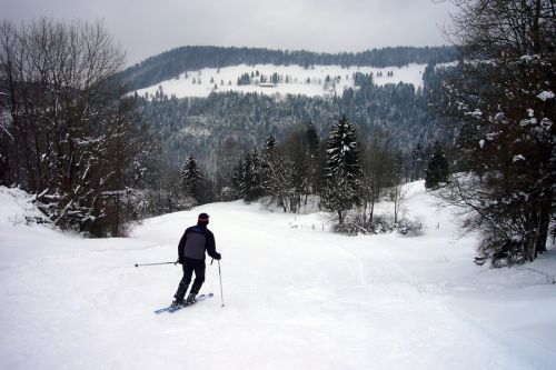 21. Februar 2009
