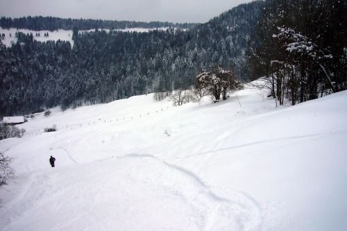 21. Februar 2009
