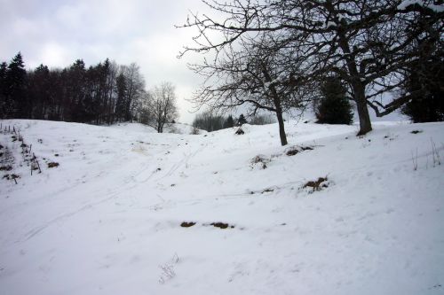 21. Februar 2009
