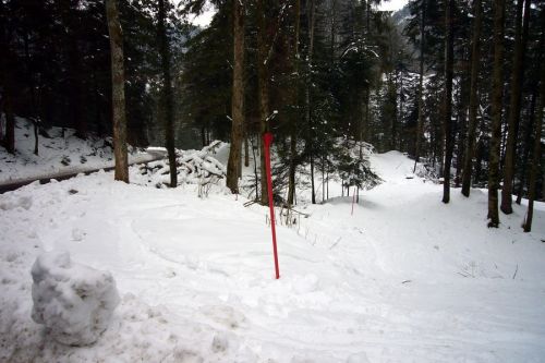 Auf der Talfahrt mit dem Auto kreuzt man wieder die halsbrecherische Talabfahrt durch den Wald
