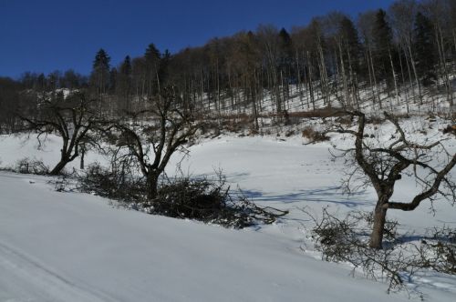 4. Februar 2010
