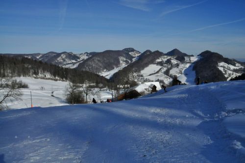 4. Februar 2010
