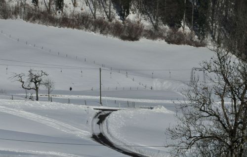 4. Februar 2010
