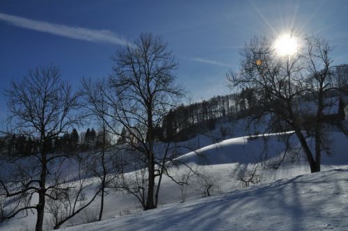 4. Februar 2010
