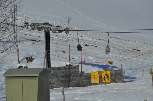 4. Februar 2010
