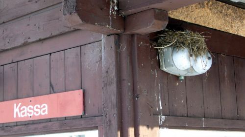 4. Februar 2010
