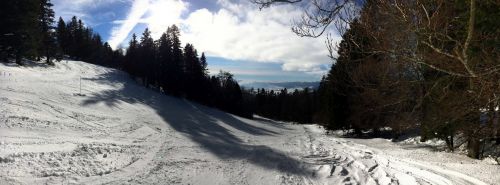 23. Januar 2016
