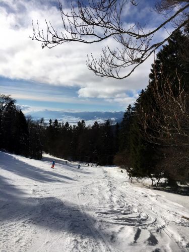 23. Januar 2016
