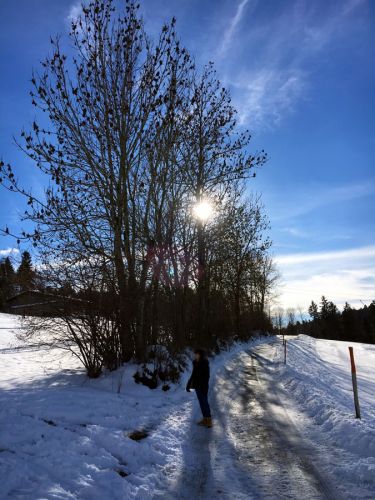 23. Januar 2016
