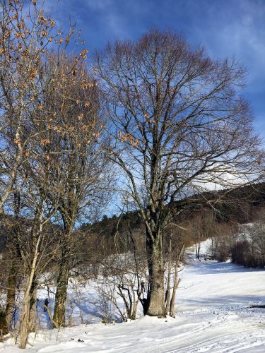 23. Januar 2016
