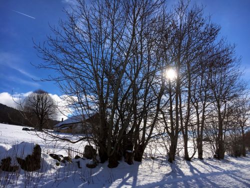 23. Januar 2016
