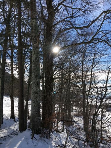 23. Januar 2016
