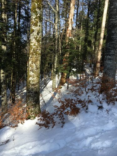 23. Januar 2016
