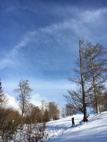 23. Januar 2016
