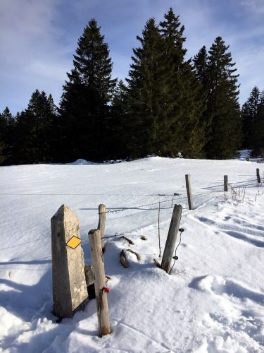 23. Januar 2016

