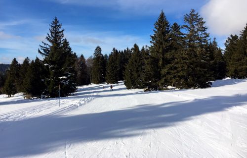 23. Januar 2016

