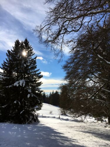23. Januar 2016

