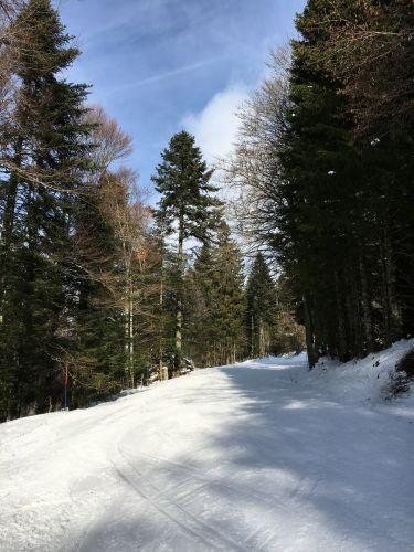 23. Januar 2016
