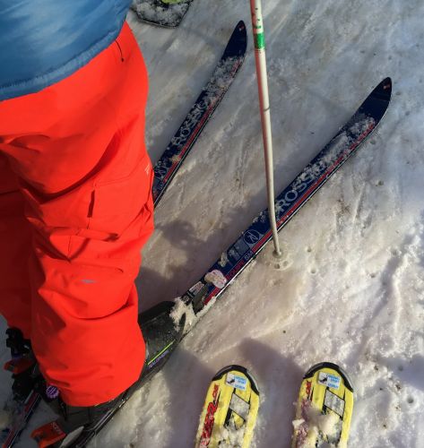 23. Januar 2016
