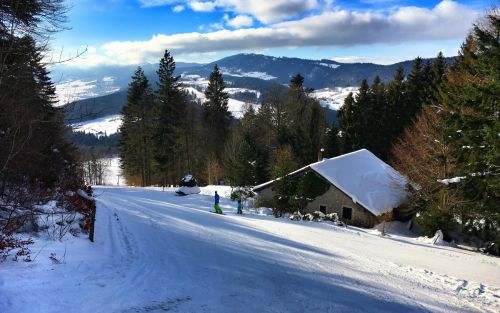 23. Januar 2016
