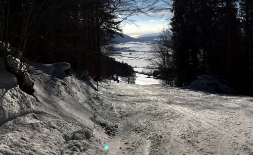 23. Januar 2016
