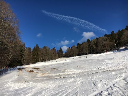 23. Januar 2016
