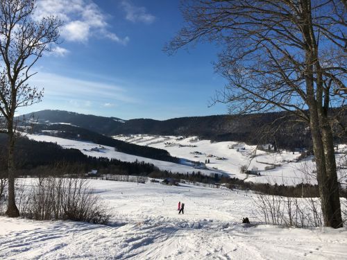 23. Januar 2016

