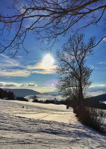 23. Januar 2016
