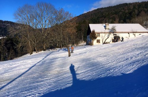 23. Januar 2016
