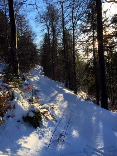 23. Januar 2016
