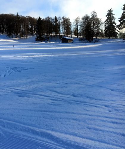 23. Januar 2016

