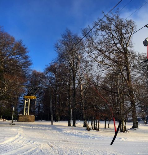 23. Januar 2016
