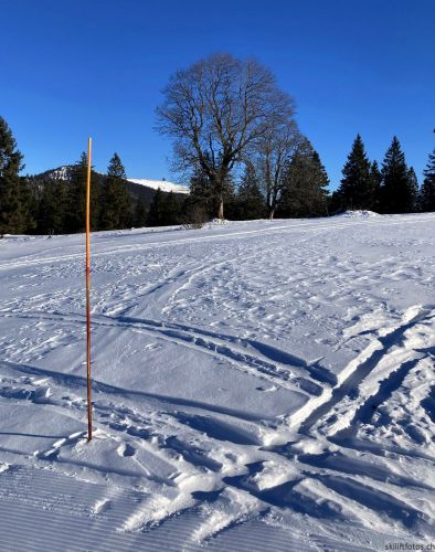 14. Januar 2022
