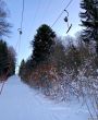 20220114-a-le-paquier-7329.jpg