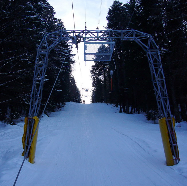 16. Januar 2009
